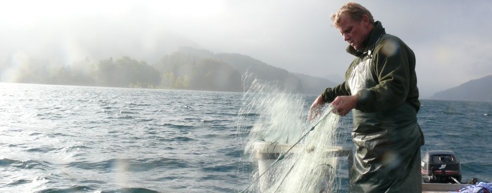 Fischerei Schloss Fuschl